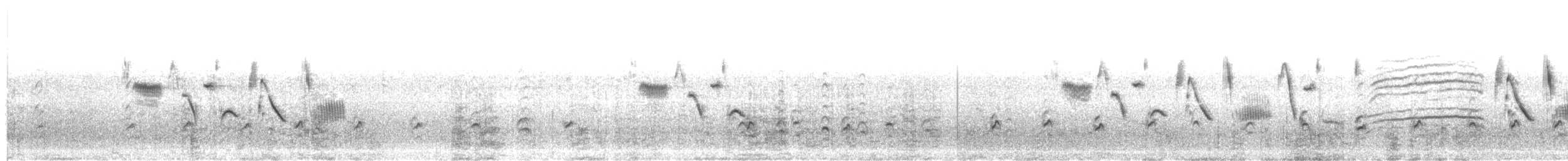 Hellmayr's Pipit - ML632662287