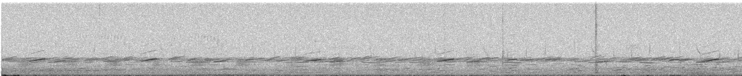 Wilson's Snipe - ML632668923