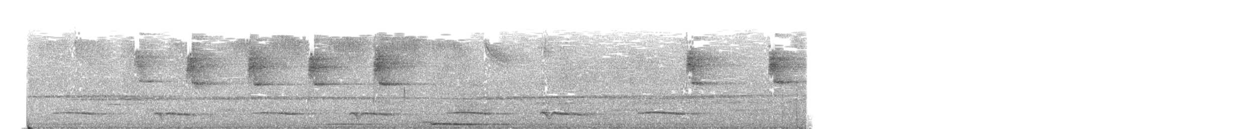 White-tipped Quetzal - ML632671973