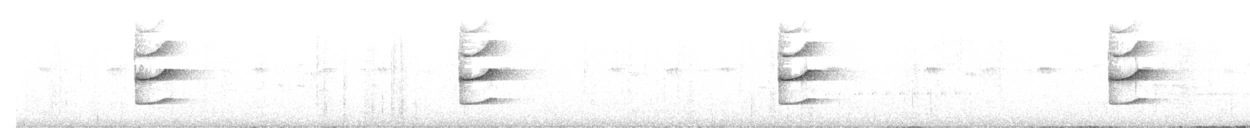 Santa Marta Antpitta - ML632672699