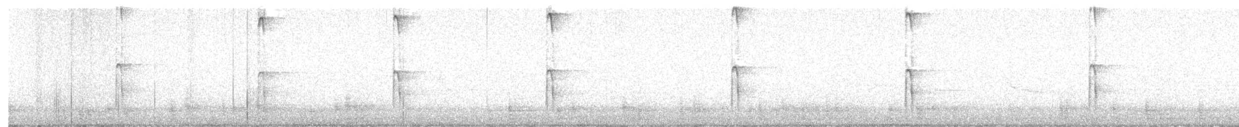 Pico Velloso (grupo villosus) - ML632676445