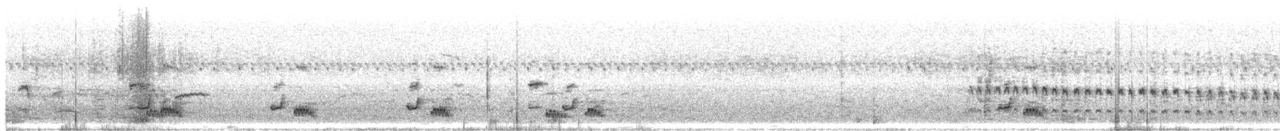 Dot-winged Crake - ML632676457