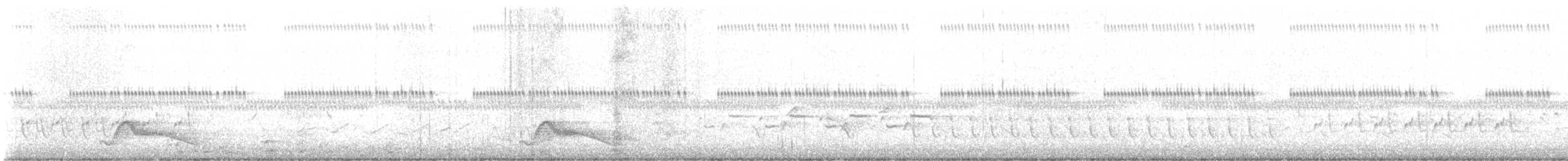 Common Pauraque - ML632679379