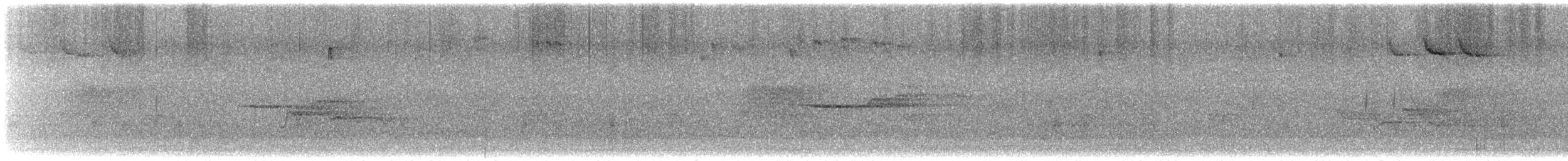 Einsiedler-Musendrossel - ML632681338