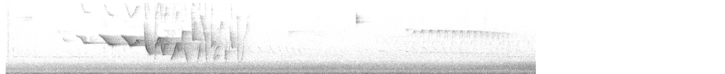 Louisiana Waterthrush - ML632682980