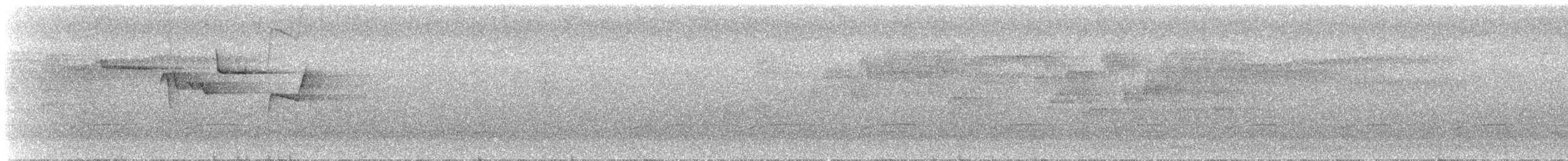 Brown Creeper - ML632683515