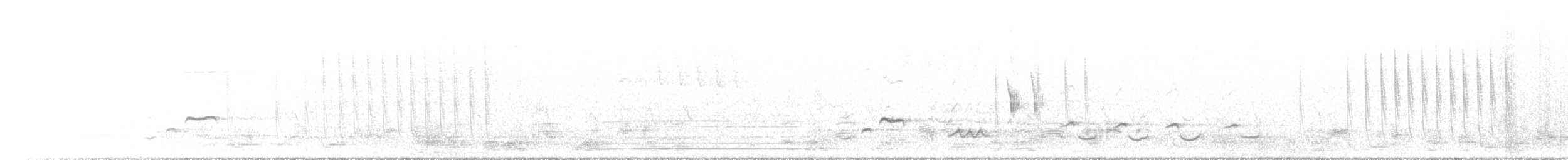 Mavi Taklitçi - ML632690521