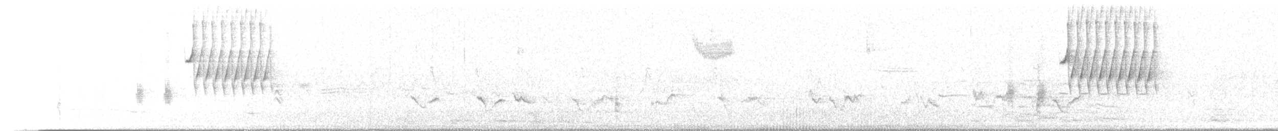 Benekli Tovi (macronyx) - ML632690553