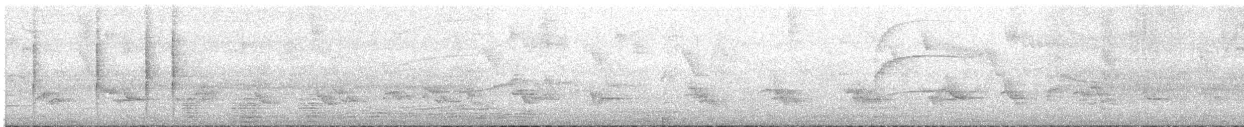 White-vented Plumeleteer - ML632704729