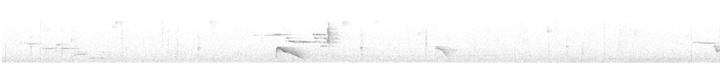 Black-billed Nightingale-Thrush - ML632704731