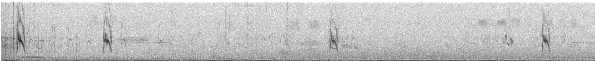 Pipit de Richard - ML632706071
