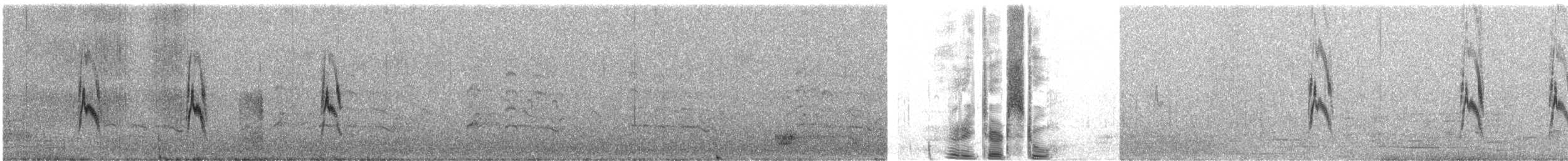 Pipit de Richard - ML632706091