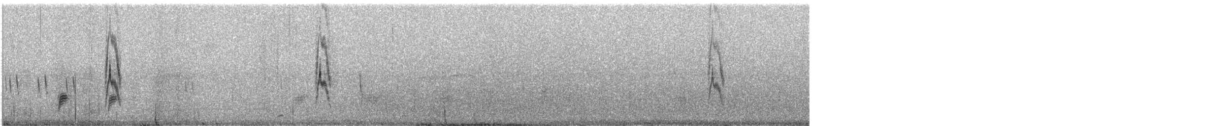 Pipit de Richard - ML632706110