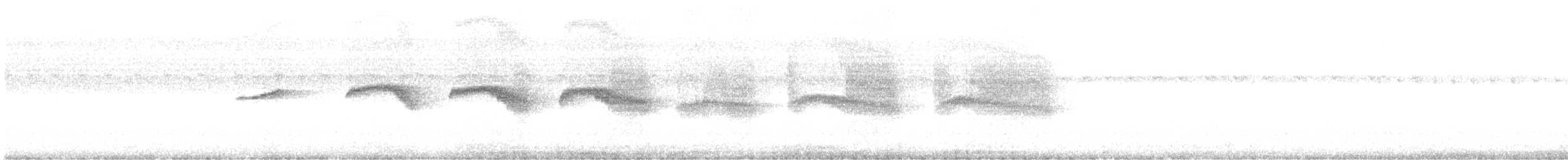 Scaled Antbird - ML632706219