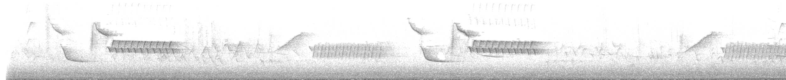 Cucarachero Colinegro - ML632707505