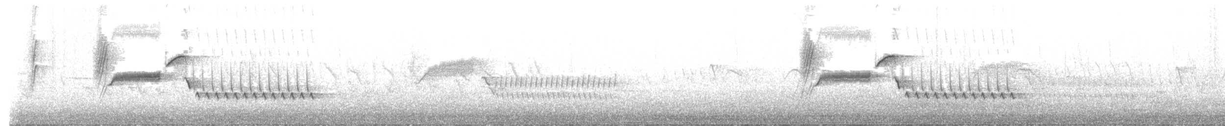 Cucarachero Colinegro - ML632707506