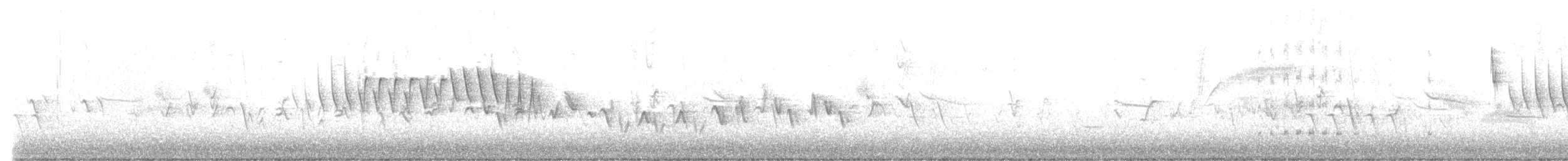 Reinita de Lucy - ML632707514