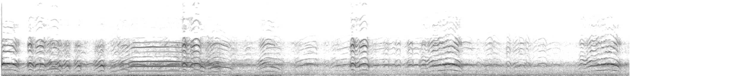 ørkenmåke - ML632709176