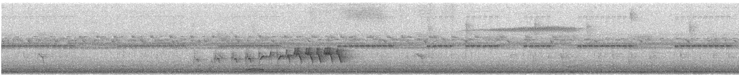 Bindenwaldsänger - ML632717476