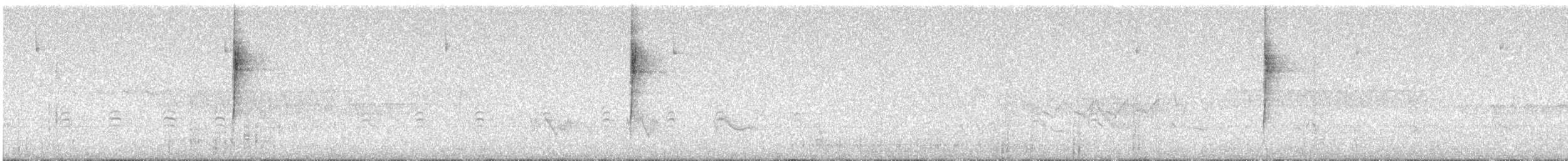 Northern Yellow Warbler - ML632722773