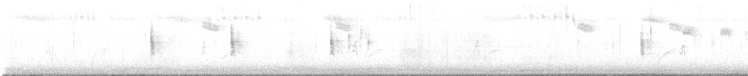 Allen's Hummingbird - ML632726584