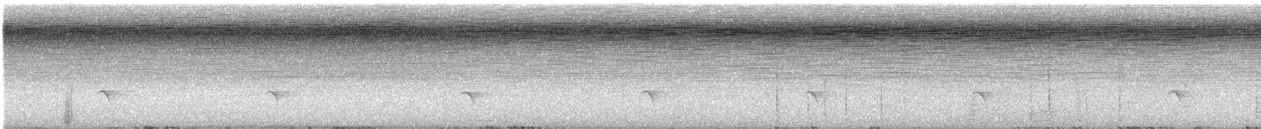 Guatemalan Tyrannulet - ML632727290