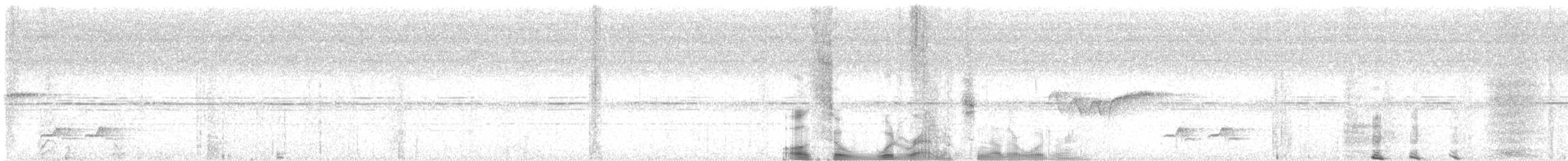 White-breasted Wood-Wren - ML632728089
