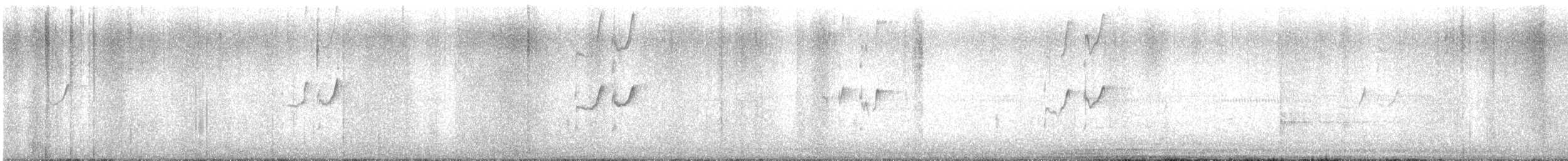 Solitary Sandpiper - ML632728838