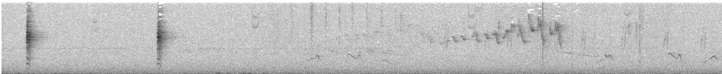 Gray-and-gold Warbler - ML632732914