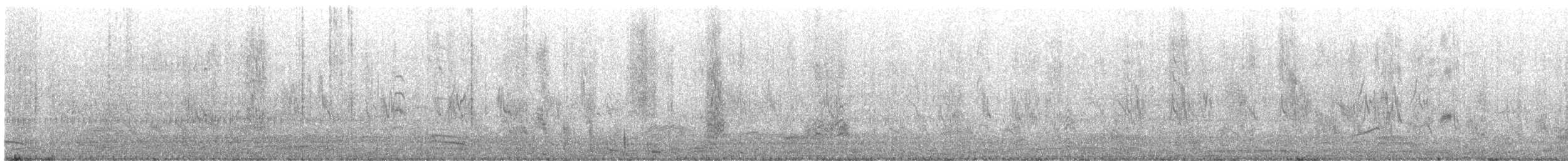 ハイイロハッカ - ML632737086