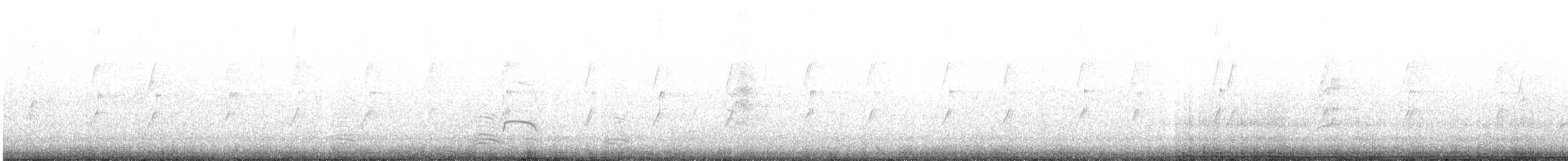 ústřičník dlouhozobý - ML632737992