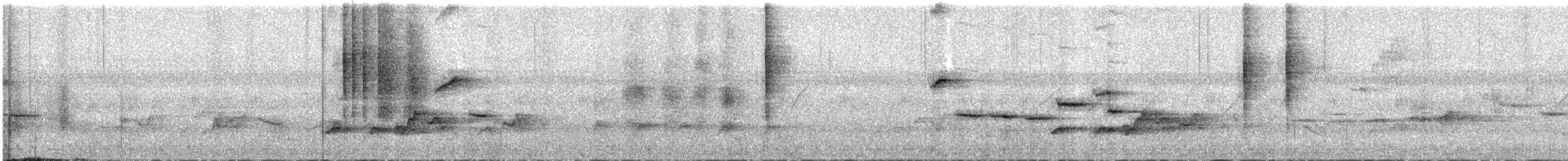 Pale-chinned Flycatcher - ML632742308