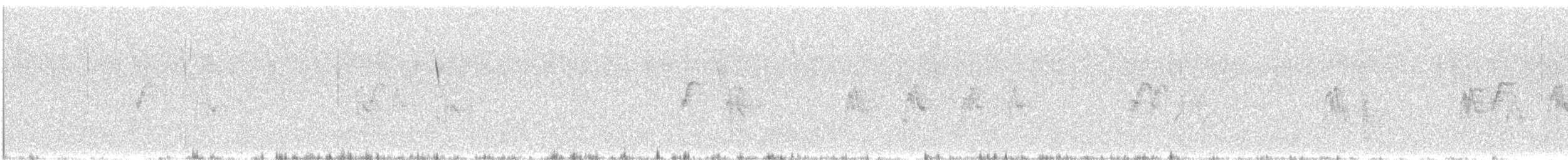 Mountain Parakeet - ML632745557