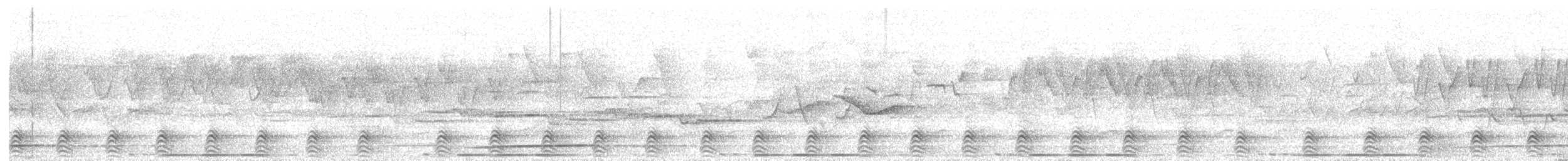 Temminck's Tragopan - ML632747218