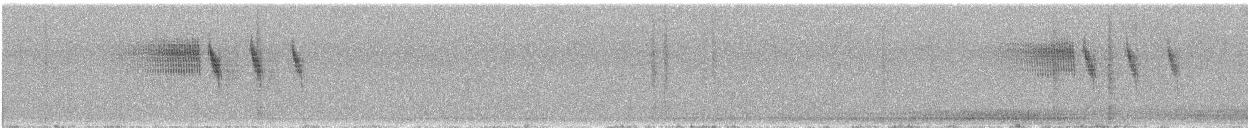 Haplospize plébéien - ML632747621