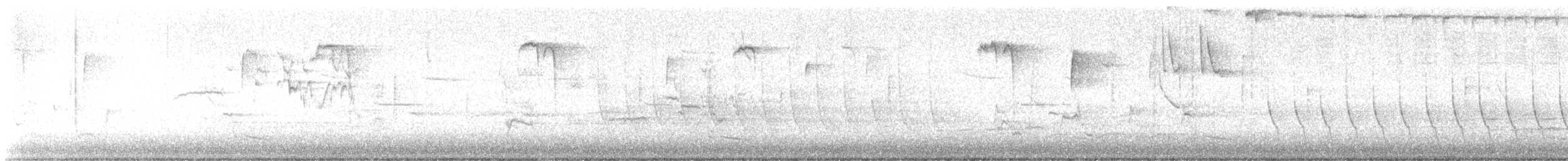 Einsiedler-Musendrossel - ML632748630