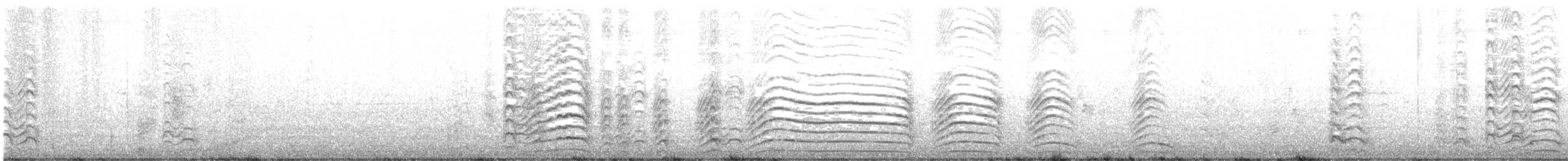 ørkenmåke - ML632751353
