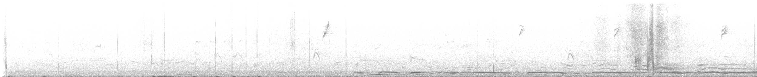 White-winged Dove - ML632753710