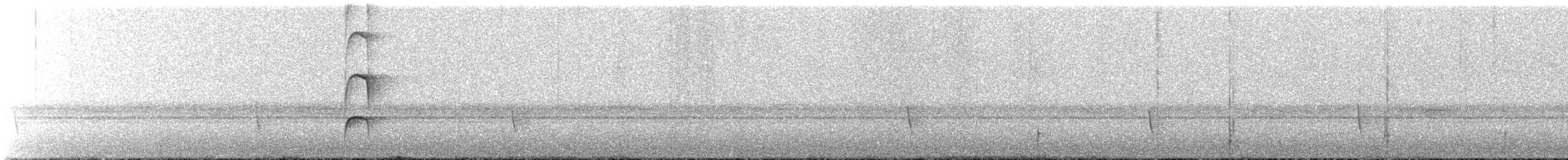 Copetón de Nutting/Salvadoreño - ML632757510