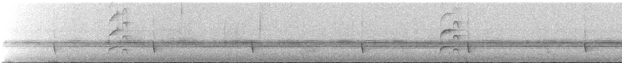 Copetón de Nutting/Salvadoreño - ML632757683