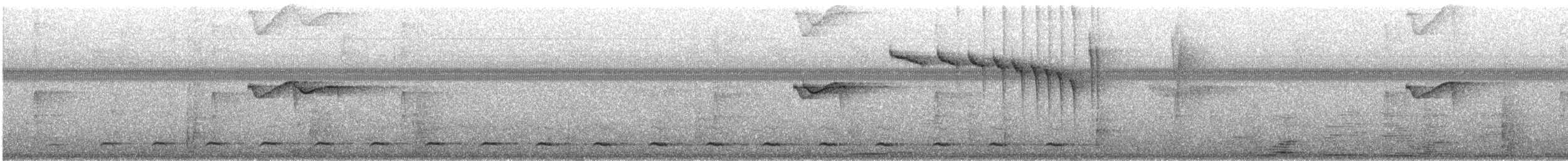 Ferruginous Pygmy-Owl - ML632759814