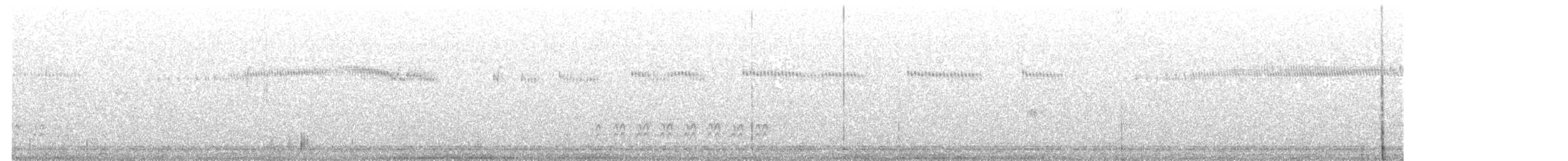 Broad-tailed Hummingbird - ML632761695