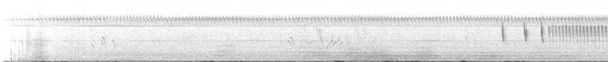 Sedge Wren - ML632762254