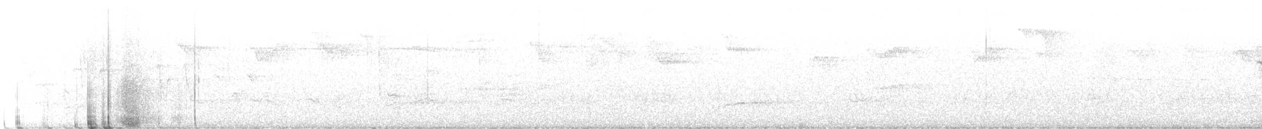 Barred Owl - ML632762538