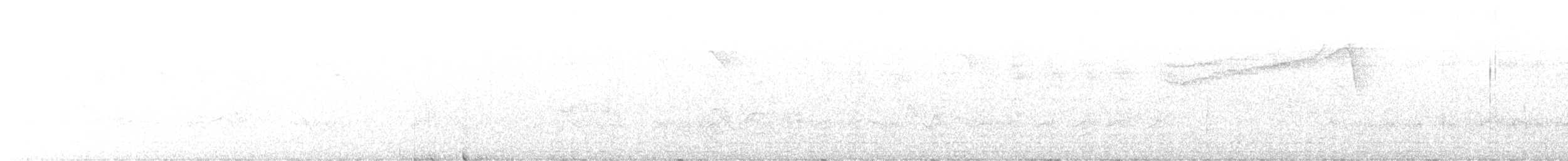 Barred Owl - ML632762558