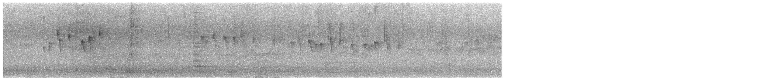 Sick's Swift - ML632762969
