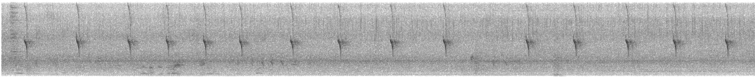 Rivoli's Hummingbird - ML632764157