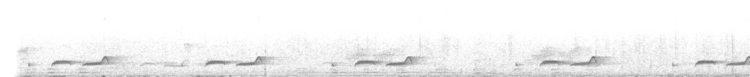 Dusky Nightjar - ML632768795