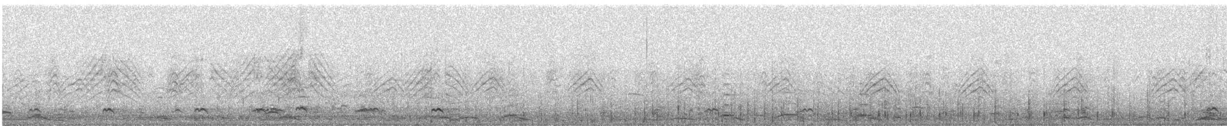 Codone - ML632771016