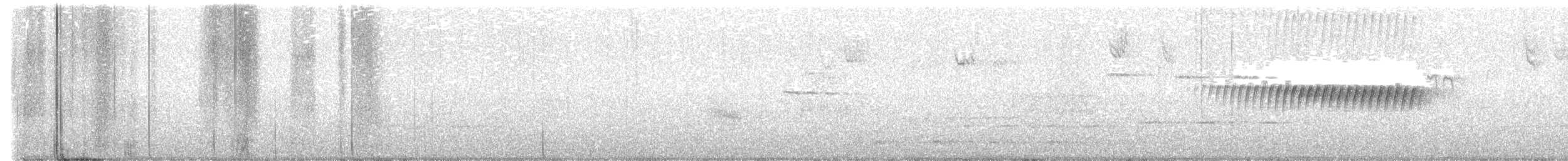 Pine Warbler - ML632779533